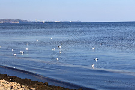 蓝色海洋景观室外波兰欧洲格丁尼亚图片