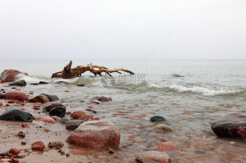 波兰的奥洛沃,海水中的石头秋天图片