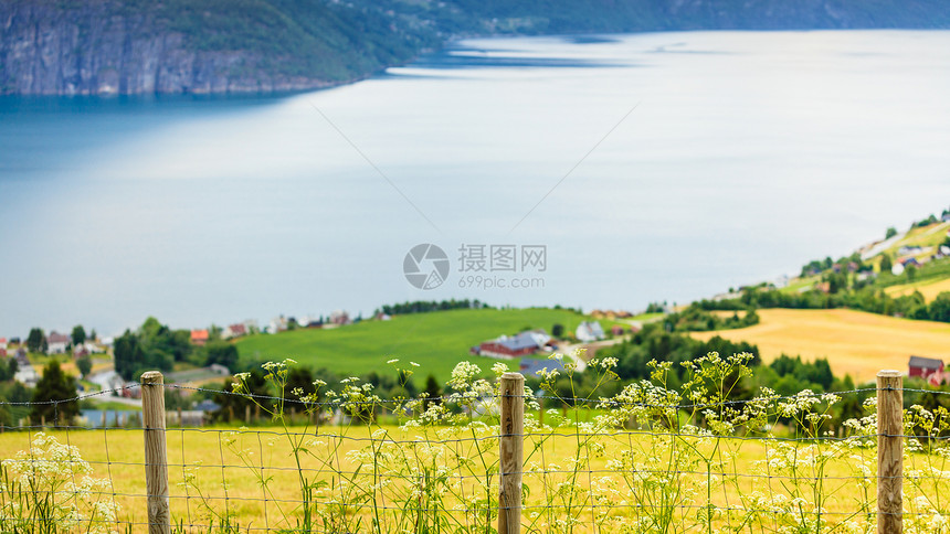 挪威乡下的房子海边的山上美丽的海岸线峡湾景观村庄,斯堪的纳维亚欧洲挪威乡村的房子湖岸的山上图片