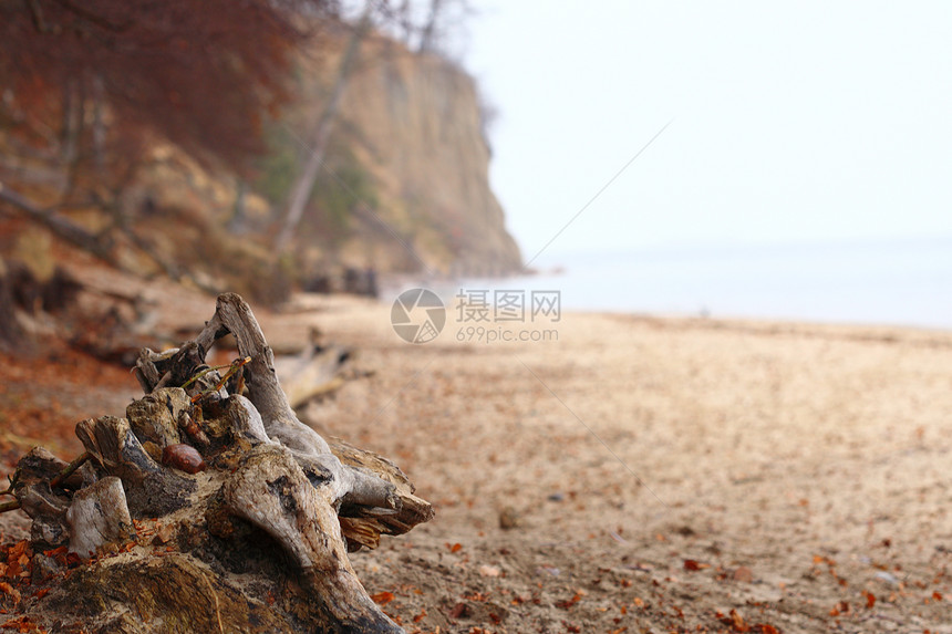 秋天波罗的海悬崖奥洛,格丁尼亚波兰图片