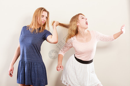 猫扑本社好斗的疯女人互相打架拉头发两个挣扎的轻女孩赢得了猫战好斗的疯女人互相打架背景