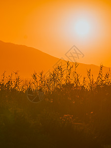 风景优美的日落日出太阳升山上山上日出图片