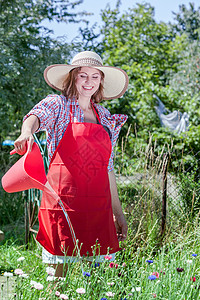 园艺戴帽子的红围裙的女人后院的花园里工作,户外浇花图片