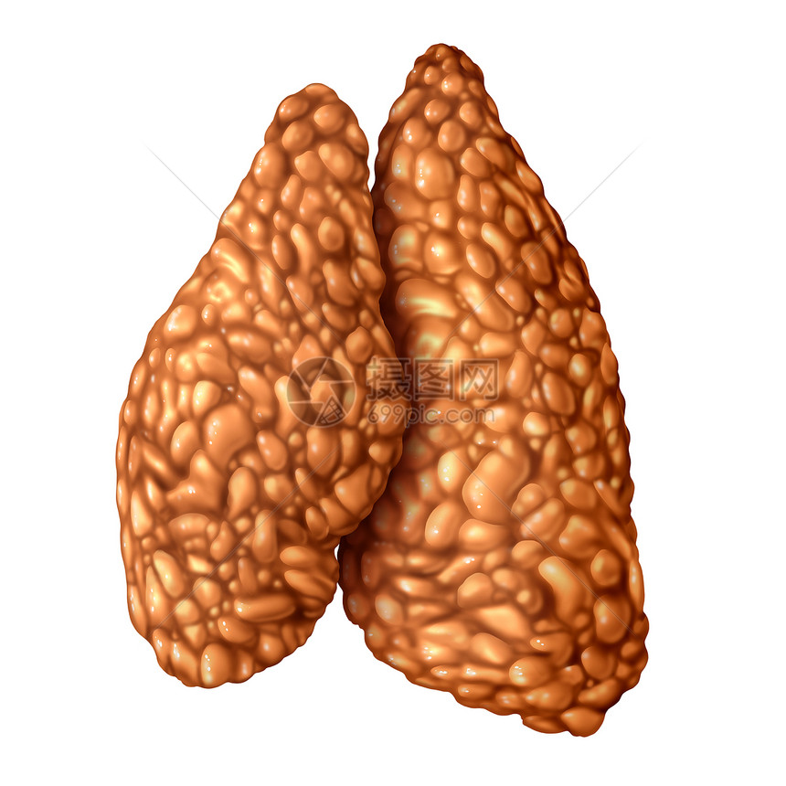胸腺解剖图标分离白色背景上的三维插图风格图片