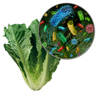 李斯特蔬菜上的细菌细菌以及摄入污染的绿色食品的健康风险,包括莴苣种生产污染安全,3D渲染元素背景