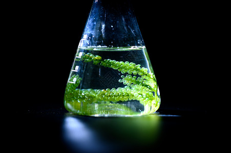 藻类燃料生物燃料工业中的光生物反应器,可持续能源图片