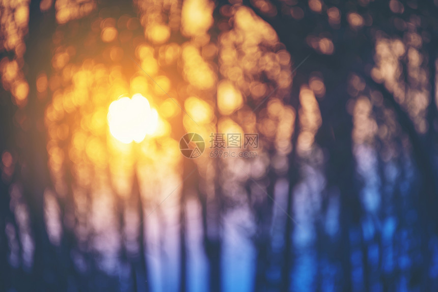 模糊而壮观的日落冬天的森林剪影中闪闪发光图片
