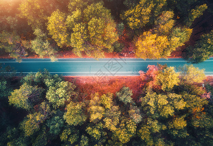 日落时美丽的秋林中的道路鸟瞰五颜六色的景观与空沥青路背景图片