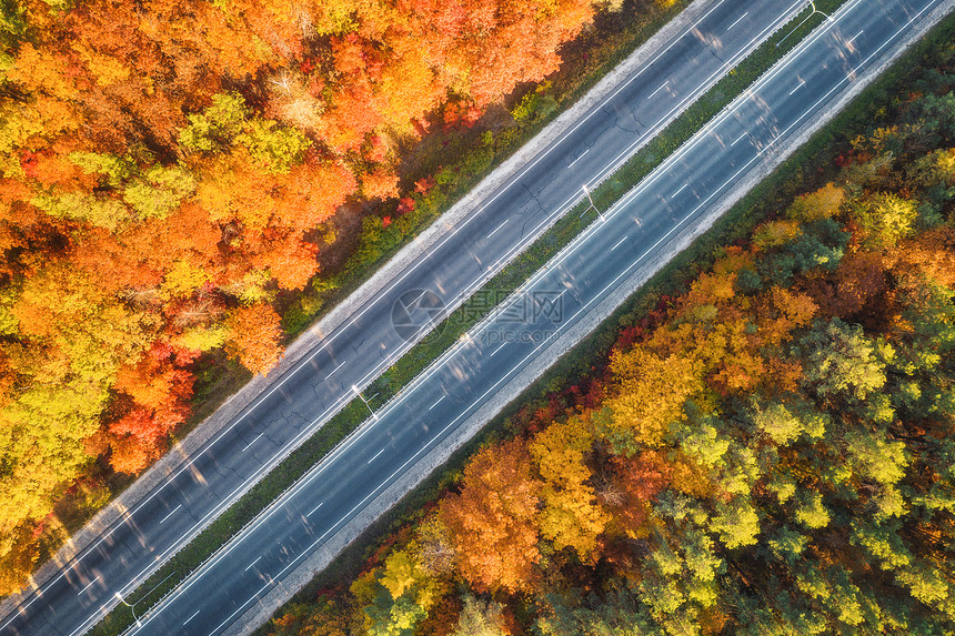 日落时美丽的秋林中的道路鸟瞰五颜六色的景观与公路,汽车,树木与红色,黄色橙色的叶子巷道的顶部视图秋天的颜色秋天图片