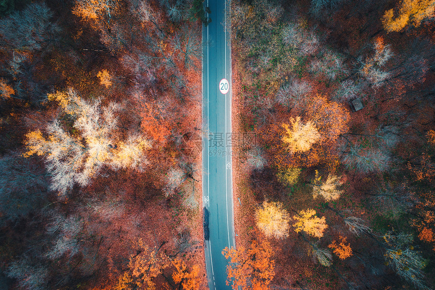 日落时美丽的秋林中的道路鸟瞰五颜六色的景观,空路,树上红色黄色橙色的叶子高速公路的顶部视图秋天的颜色图片