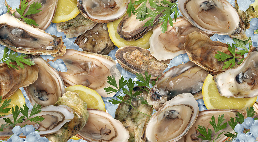 牡蛎海鲜的背景,种新鲜的美味的生屑贝类与柠檬冰图片