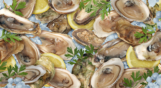 牡蛎海鲜的背景,种新鲜的美味的生屑贝类与柠檬冰背景图片