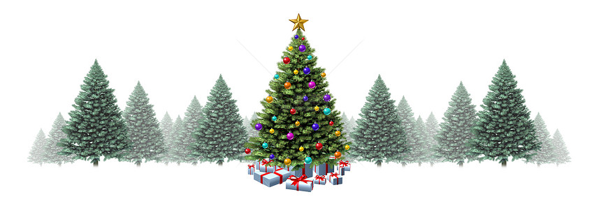 诞树水平边框与松树白色背景上,节日的常青林,并为寒假季节提供礼物装饰,3D插图图片