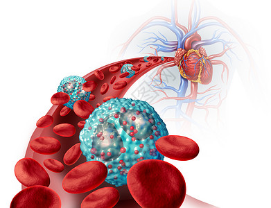 嗜酸粒细胞白细胞人体内与免疫系统过敏哮喘的医学状况关,细胞内动脉解剖的三维图示背景