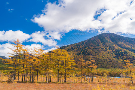 托米斯勒尼科秋景的森霍加拉高原田林山日本尼科托奇吉背景