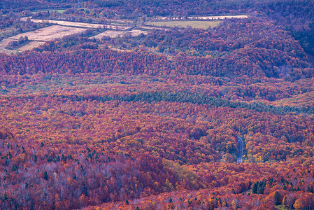 日本青森东北的哈科达山森林的红叶秋秋季节的鸟瞰高清图片