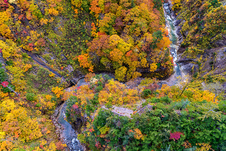秋景的鸟瞰森林树林与河流上的小村大石桥青森东北日本背景图片