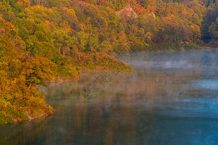 晨雾与秋落湖森林大川坝秋田东北高清图片