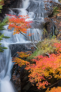 秋落林Ryuzu瀑布日本日木子背景图片