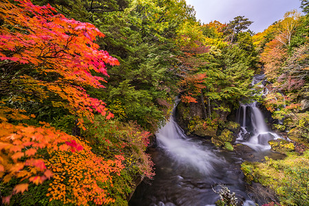 秋落林Ryuzu瀑布日本日木子背景图片