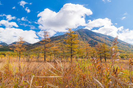 秋景的森霍加拉高原田林山日本尼科托奇吉高清图片