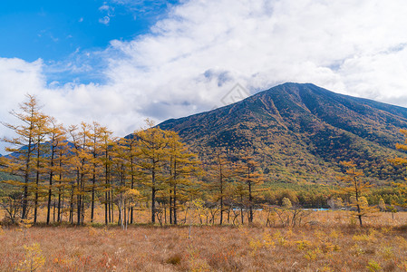 秋景的森霍加拉高原田林山日本尼科托奇吉高清图片