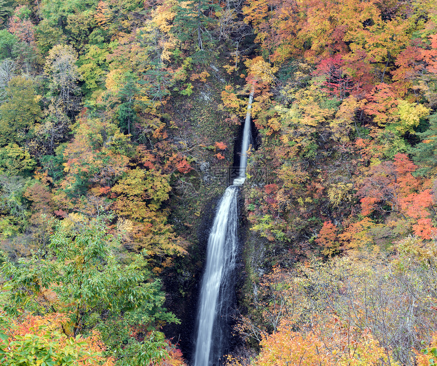 日本福岛秋秋时节,川崎瀑布图片