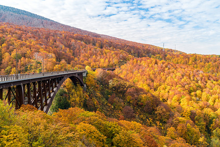 秋景林树林与中村大石桥青森日本东北图片