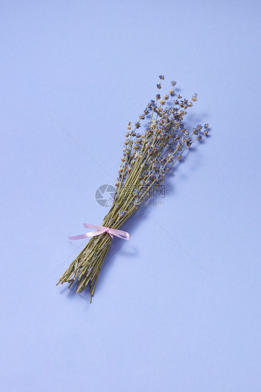 装饰胸花自然干燥的薰衣草花相同的颜色背景上与柔的阴影,放置文字折叠卡片薰衣草用柔软的阴影干花图片