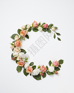 花环框开花的角落花珊瑚玫瑰与绿叶浅灰色的背景,平躺情人节玫瑰花圆角框背景