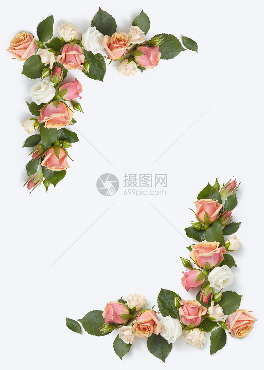 贺卡框架天然机玫瑰花与绿叶浅灰色背景,平躺情人节祝贺玫瑰花角框图片