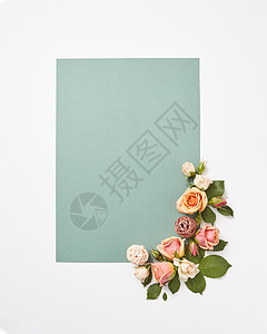 鲜花祝贺卡与盛开的玫瑰,花绿叶浅灰色的背景,情人节浪漫绽放的贺卡与玫瑰花图片