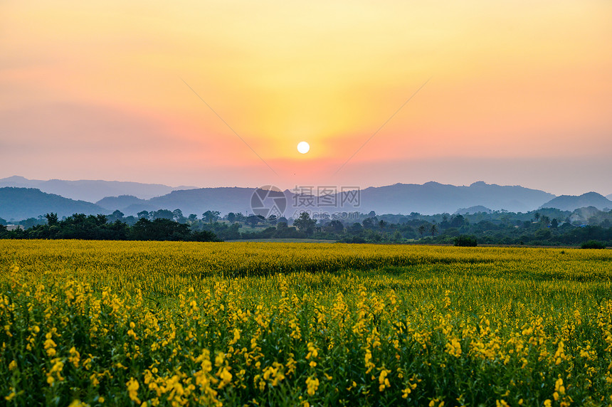 陆地上日落的自然景观图片