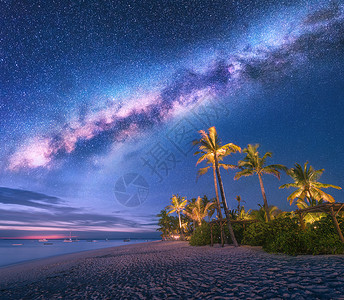 多彩星空光效夏天的夜晚,沙滩上棕榈树日光床雨伞的银河海岸景观,美丽的星空,星系绿色的手掌非洲桑给巴尔旅行背景