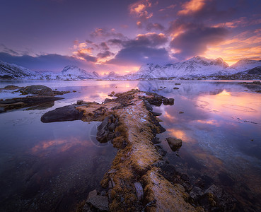 海岸,美丽的雪山惊人的紫色天空与云彩五颜六色的日落冬季傍晚挪威洛福腾群岛充满活力的景观与石头,岩石雪中,倒影水背景图片