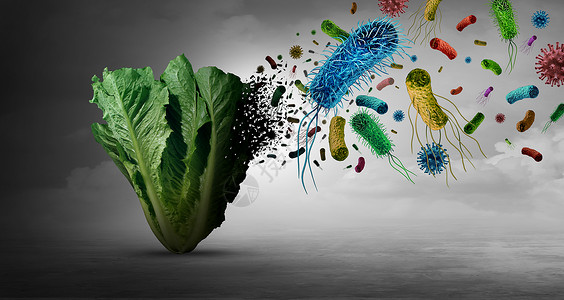 疾病胚芽蔬菜上的蔬菜细菌细菌以及摄入受污染的绿色食品的健康风险,包括莴苣,种三维渲染元素的产品污染安全背景