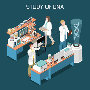 科学家遗传学实验室三维等距矢量图中研究DNA背景图片