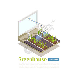 现代温室自动浇水系统等距成与远程无线控制智能植物床灌溉矢量插图图片