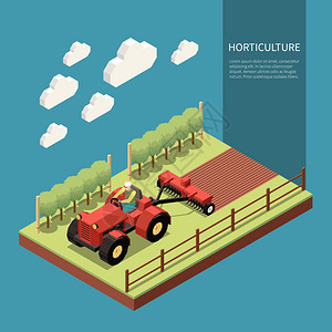 园艺等距成与农场工人驾驶拖拉机婚礼土壤水果园矢量插图背景图片