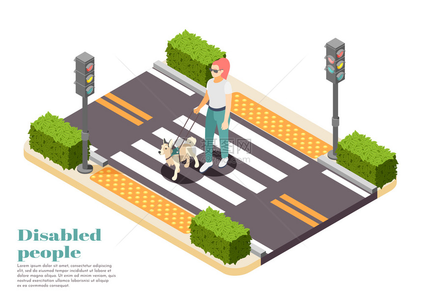 残疾人等距背景与狗指南带盲人妇女跨越道路矢量插图图片