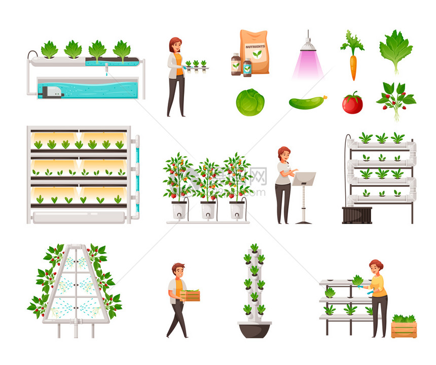温室农业垂直水培航空符号卡通矢量插图图片