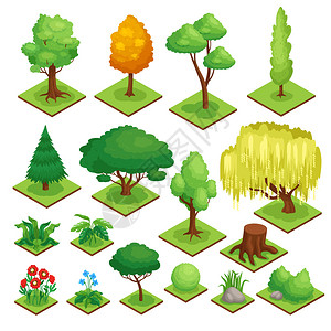公园元素集与植物树木等距孤立矢量插图背景图片