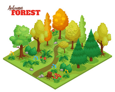 森林路径松树秋季森林与树木花卉路径等距矢量插图插画