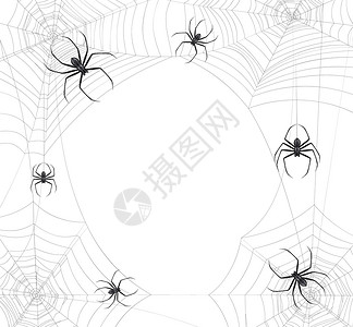 圆型素材网黑色蜘蛛网现实背景与圆形成的昆虫坐蜘蛛网上与空矢量插图插画