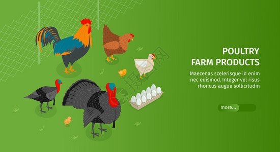 鸡厂等距家禽农场水平横幅与动物图像可编辑文本滑块按钮更多信息矢量插图插画