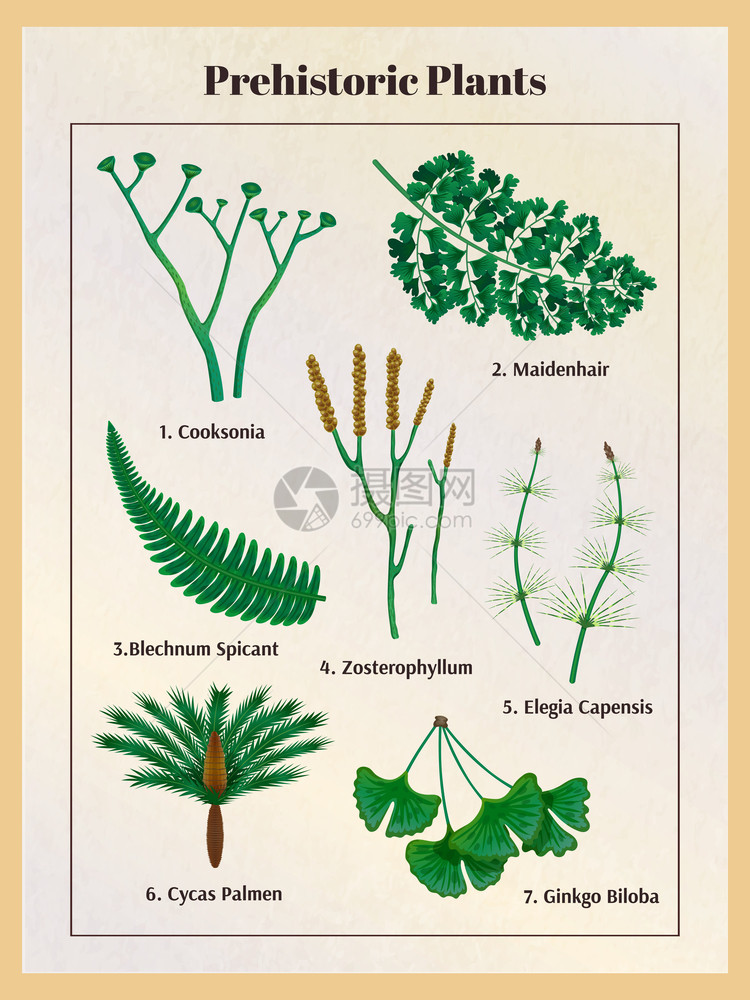 史前植物植物学文本标题图像草药内的垂直框架矢量插图图片