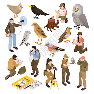 鸟类学家等距集与同类型的鸟类分离矢量插图图片