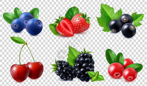 黑加仑葡萄干浆果图标樱桃蓝莓黑莓草莓蔓越莓醋栗分离透明背景现实矢量插图插画