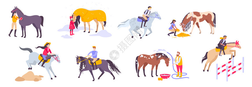 马平图标同类型的马,运动骑手矢量插图高清图片