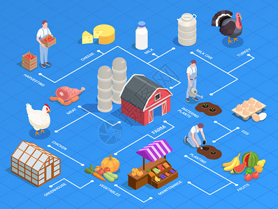 农产品批发市场等距流程图与当地农产品设备鸟类农民蓝色背景三维矢量插图插画